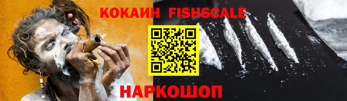 COCAIN Fish Scale  Кокаин  Вход с VPN  Грозный  COCAIN Боливия 