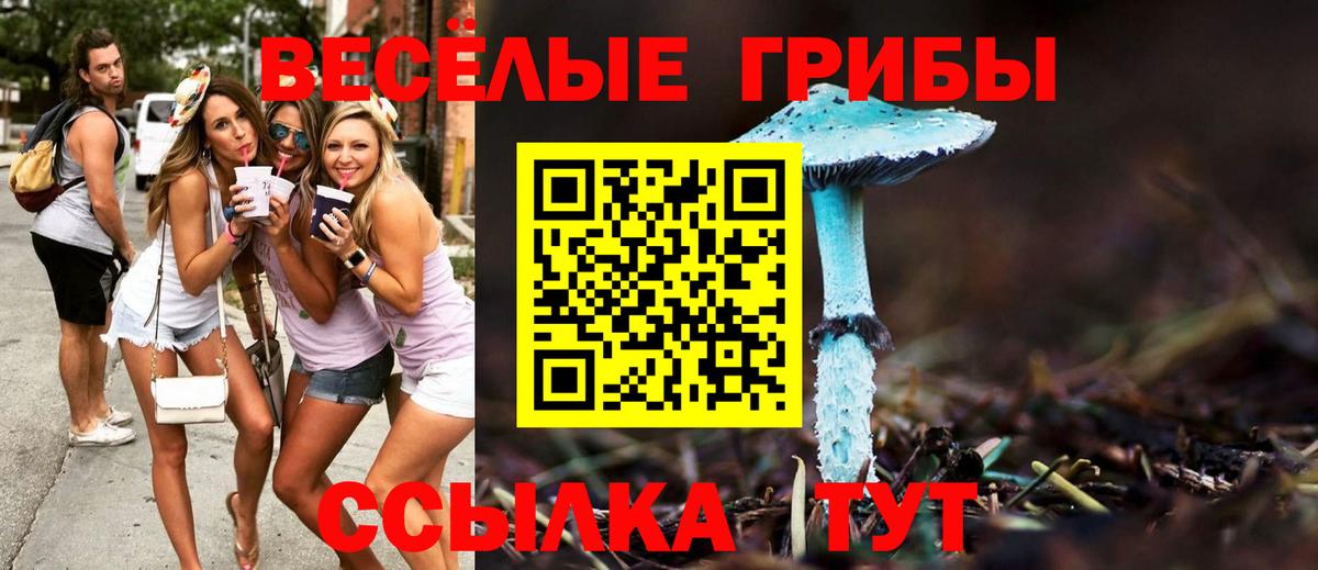 Галлюциногенные грибы мухоморы Грозный